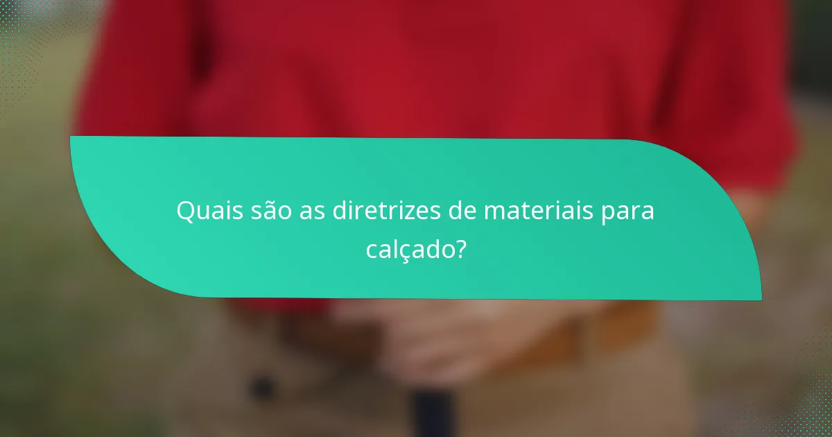 Quais são as diretrizes de materiais para calçado?